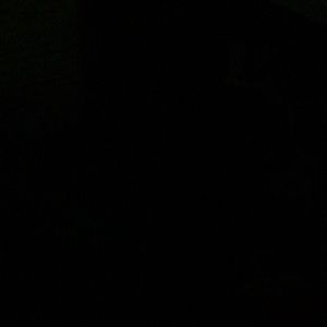 Meet your Posher, Dakiya